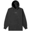 Acne Studios Logo Hoodie -Vibrant Vogue 02 01 24 LS AI0083 900 1 1