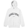 Adanola AS Hoodie -Vibrant Vogue 12 04 2024 LB AS HOOD GREY 23 1 1