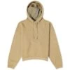 Acne Studios Fester Vintage Hoodie
